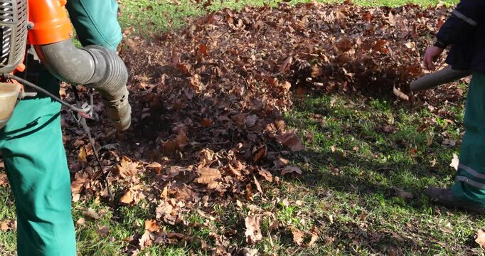 Workers blowing autumn leaves in the city park, slow motion. Gardener machinery cleaning fallen leaves in the autumn season, close up