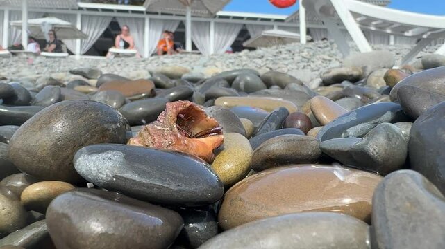 pebbles on the beach