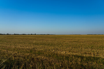 A clear field in the evening in the village. The field after harvest. Clear sky