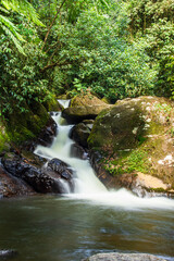 waterfall in the forest