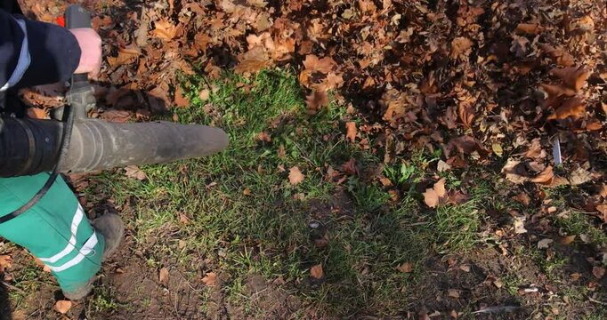 Workers blowing autumn leaves in the city park, slow motion. Gardener machinery cleaning fallen leaves in the autumn season, close up