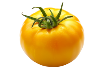 Yellow tomato with a green stem isolated on a white background.