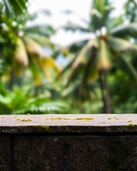Naklejka premium stone wall with nature background