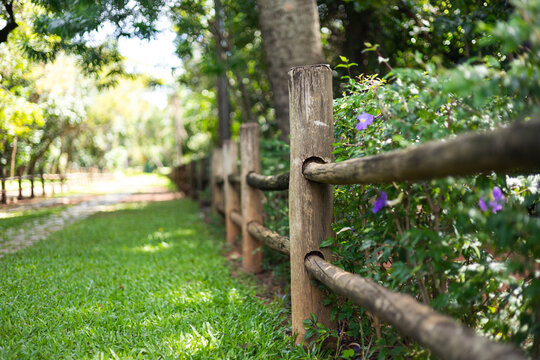 estrada com pedras, grama e cerca de madeira no parque ao ar livre