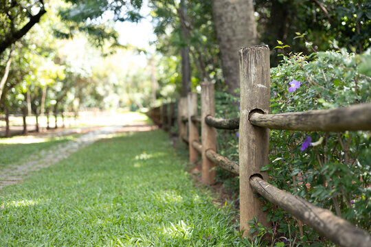 estrada com pedras, grama e cerca de madeira no parque ao ar livre