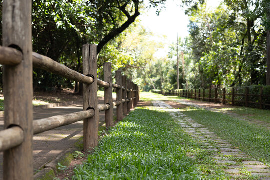 estrada com pedras, grama e cerca de madeira no parque ao ar livre