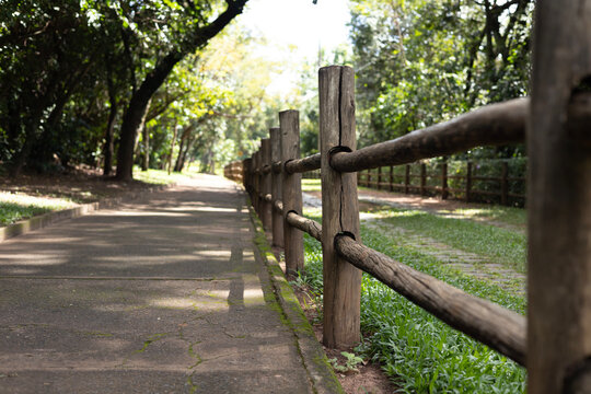 estrada com pedras, grama e cerca de madeira no parque ao ar livre