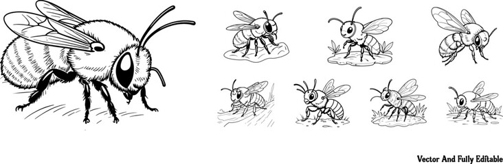 Tawny Mining Bee hand-drawn coloring page and outline vector design