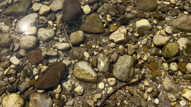male feet walking in alpine river current in summer