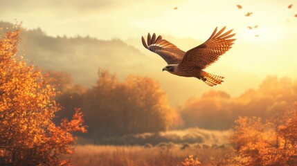 Obraz premium Hawk Soaring Through a Golden Autumn Forest