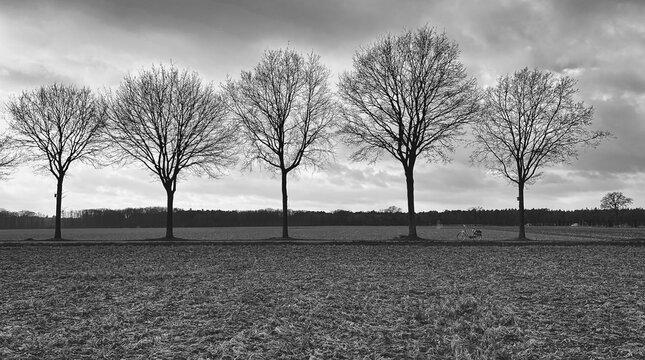 Eine verlassene Allee im Winter, ges&auml;umt von kahlen B&auml;umen, einem verlassenen Fahrrad und tr&uuml;bem Regen unter dunklen Wolken, strahlt Einsamkeit aus. Deutschland, Niederrhein, Schwalmtal. 0 Personen