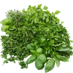 Obraz premium A variety of fresh herbs, including basil, parsley, and thyme, are displayed on a table. The vibrant green hues create a sense of freshness and vitality.