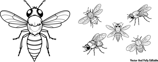 Tsetse Fly hand-drawn coloring page and outline vector design