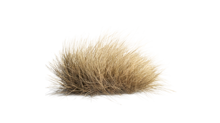 A tumbleweed rolling across the desert landscape, isolated on white background