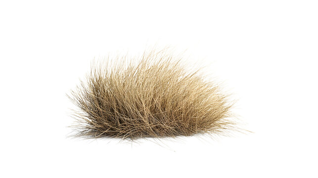 A tumbleweed rolling across the desert landscape, isolated on white background