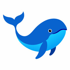Obraz premium Vector design of blue whale fish 