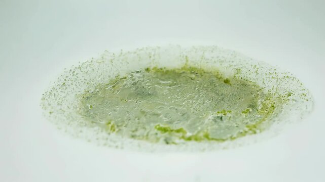 Mold fungus close-up with characteristic texture and shades of blue and green. Concept of fungal growth, spores, microbiological research, decay, decomposition, fungi, biological processes