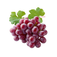 Fototapeta premium Closeup of Fresh Red Grapes with Green Leaves