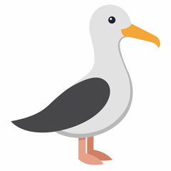 Fototapeta premium Vector illustration of sea bird albatross