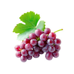 Fototapeta premium Fresh Red Grapes with Green Leaf