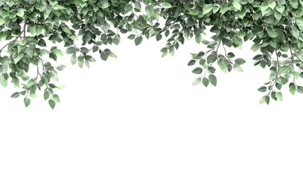 Large tree branches and foliage leaves on top border, 3D render, isolated on white background