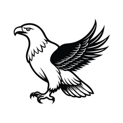 Obraz premium flying Eagle black and white illustration silhouette,
