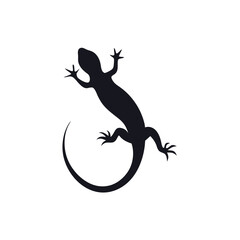 Lizard Silhouette Clipart , white background,