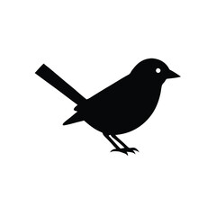 Obraz premium a Small sparrow silhouette vector illustration, vector silhouette, isolated white background,