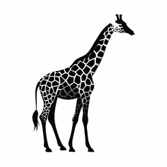 Fototapeta premium animal silhouette, giraffe, vector silhouette, isolated white background, 