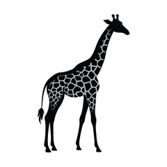 Naklejka premium animal silhouette, giraffe, vector silhouette, isolated white background, 