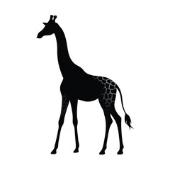 Fototapeta premium animal silhouette, giraffe, vector silhouette, isolated white background, 