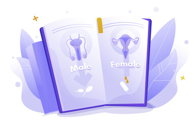 Sexual health information or people advertising poster. Cartoon vector illustration with book of male female reproductive organ anatomy for education and awareness