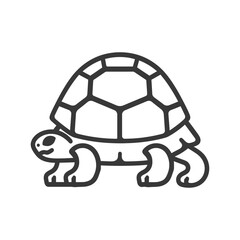 Fototapeta premium Line drawing of a turtle with a shell