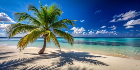 Palm Tree Shadow on Pristine Beach, Tropical Paradise, Summer Vacation, Ocean Views ,paradise, beach, tropical