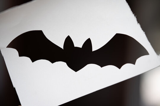 silueta de murciélago recortada en papel blanco con fondo negro