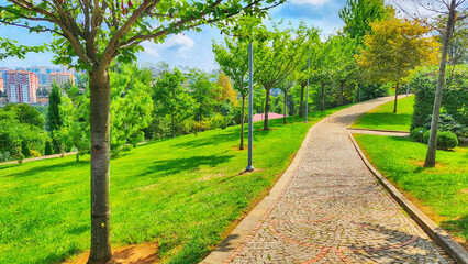 Plant, tree and flower species in the Trabzon Botanical Garden