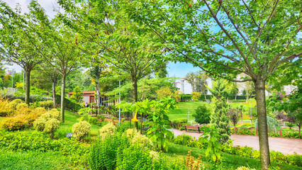 Plant, tree and flower species in the Trabzon Botanical Garden