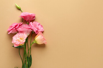 Beautiful pink eustoma flowers on brown background