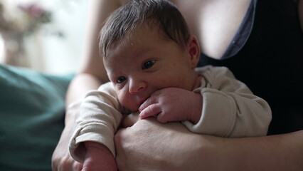 Newborn baby rests in parent's arms, gazing around with curiosity. The cozy indoor setting and the...