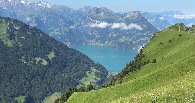 Stoos Ridge Hiking Trail in Switzerland in summer, Lake Lucerne in view