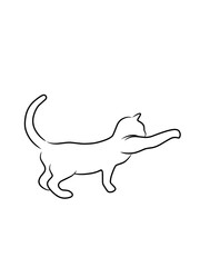 Cat Icon Vector