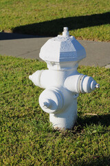 white fire hydrant near green grass