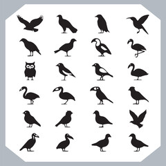 Set of black bird silhouettes and birds collection, bird set design. Eagle, Parrot, Penguin, Owl, Sparrow, Peacock, Flamingo, Hummingbird, Ostrich, Hawk.