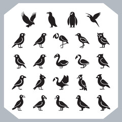 Set of black bird silhouettes and birds collection, bird set design. Eagle, Parrot, Penguin, Owl, Sparrow, Peacock, Flamingo, Hummingbird, Ostrich, Hawk.