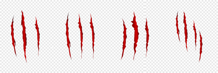 Red blood traces from animal claws. Traces from predator claws. Realistic set of animal claws.