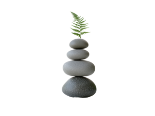 Fern atop balanced stones in decor, transparent