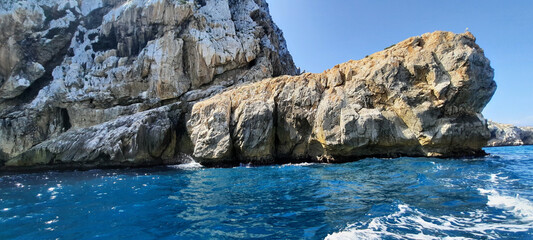 Moments in Nature: Cats, Skies, and Beach Photography