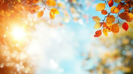 Obraz premium Golden Autumn Leaves Against a Blurred Sky