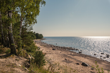 Baltic sea shore at Vidzeme region, Latvia on sunny summer day
