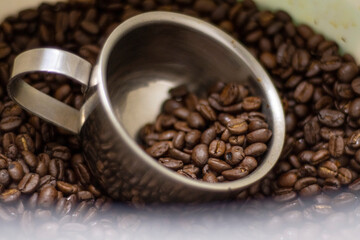 cup of joe2